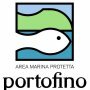 AMP Portofino